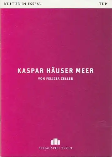 Theater und Philharmonie Essen, Schauspiel Essen, Berger Bergmann, Christian Tombeil, Judith Heese, Jan Frerichs, Diana Küster ( Probenfotos ): Programmheft Felicia Zeller KASPAR HÄUSER MEER.. 