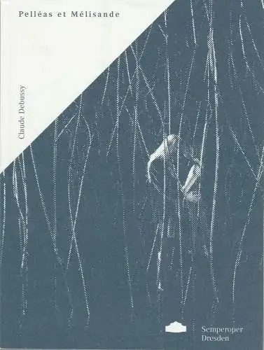 Sächsische Staatstheater-Semperoper Dresden, Wolfgang Rothe, Anna Melcher, Matthias Creutziger (Probenfotos): Programmheft Claude Debussy PELLEAS ET MELISANDE Premiere 24. Januar 2015 Semperoper Spielzeit 2014 / 2015. 