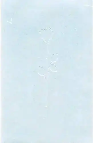 Staatsoper Stuttgart, Albrecht Puhlmann, Xavier Zuber, Martin Sigmund ( Probenfotos ): Programmheft Richard Strauss DER ROSENKAVALIER Staatsoper Stuttgart 2009. 