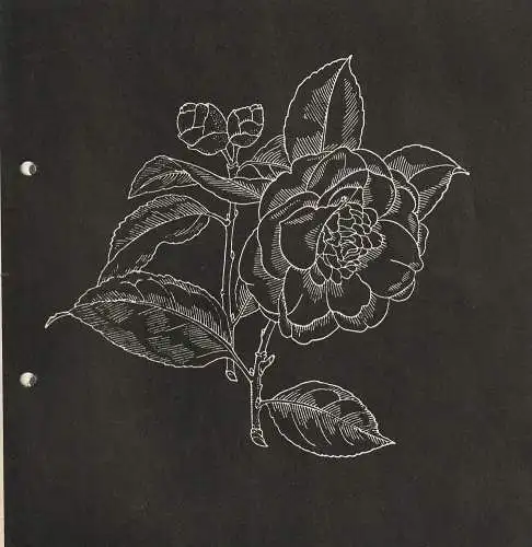 Württembergische Staatstheater Stuttgart, Hellmuth Karasek, Hanns Rückle, Eberhart Uebe, Gerd Richter: Programmheft Giuseppe Verdi LA TRAVIATA Staatstheater Stuttgart 1964. 