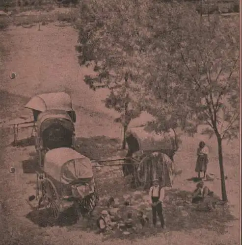 Württembergische Staatstheater Stuttgart, Hellmuth Karasek, Hanns Rückle, Eberhart Uebe, Gerd Richter: Programmheft Johann Strauss DER ZIGEUNERBARON 30. September 1965 Großes Haus. 