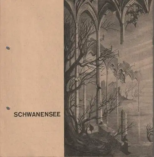 Württembergische Staatstheater Stuttgart, Hellmuth Karasek, Hanns Rückle, Eberhart Uebe, Gerd Richter: Programmheft Peter Tschaikowsky SCHWANENSEE   11. November 1965 Großes Haus. 