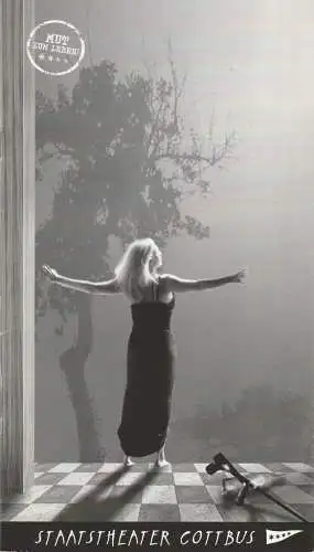 Staatstheater Cottbus, Martin Schüler, Guido Neubert, Marlies Kross ( Fotos ): Programmheft DIE KATZE AUF DEM HEISSEN BLECHDACH Staatstheater Cottbus 2006. 