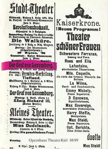 Theater Kiel, Bühnen der Landeshauptstadt Kiel, Dr. Volkmar Clauß, Karsten Bartels: Programmheft Franz Lehar DER GRAF VON LUXEMBURG Premiere 18. März 1989 Spielzeit 1988 / 89. 