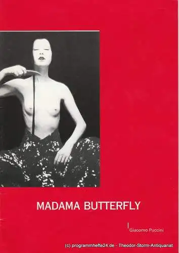 Südostbayerisches Städtetheater Landshut-Passau-Straubing, Stefan Tilch, Heiko Cullmann: Programmheft MADAMA BUTTERFLY Südostbayerisches Städtetheater 2002. 