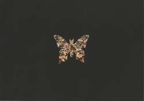 Staatstheater am Gärtnerplatz, Klaus Schultz, Jan Adamiak, Susanne Böhm, Bettina Auer: Programmheft Der Barbier von Sevilla Staatstheater am Gärtnerplatz 2005. 