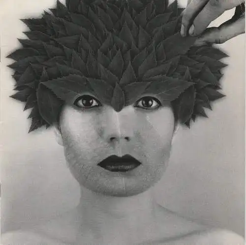 Neuköllner Oper, Stiftung Stift Neuzelle, Peter Lund, Nils Steinkrauss, Benjamin Stein, u.a: Programmheft SommerNachtTraum Klosterstift Neuzelle 2000 Oper Neukölln. 