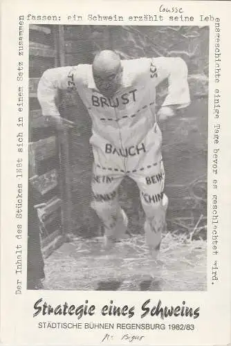 Städtische Bühnen Regensburg, Horst Alexander Stelter, Peter Biermann: Programmheft STRATEGIE EINES SCHWEINS Theater am Haidplatz Regensburg 1982. 