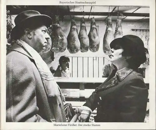 Bayerisches Staatsschauspiel, Kurt Meisel, Jörg-Dieter Haas, Bernd Wilms: Programmheft Marieluise Fleißer DER STARKE STAMM Bayer. Staatsschauspiel 1979. 