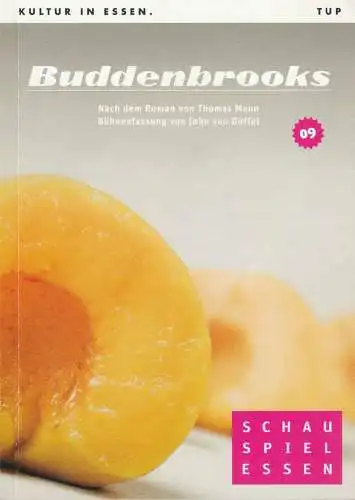 Theater und Philharmonie Essen, Schauspiel Essen, Berger Bergmann, Christian Tombeil, Vera Ring: Programmheft Thomas Mann / John von Düffel BUDDENBROOKS Grillo Theater 2011. 