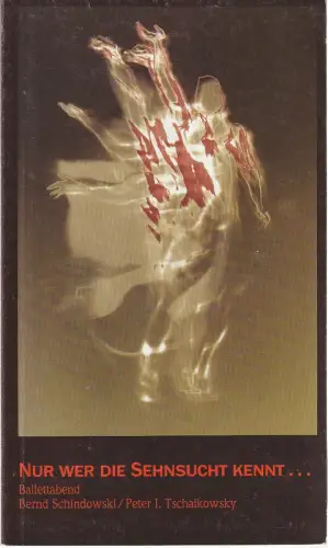 Musiktheater im Revier, Ludwig Baum, Harald Markert: Programmheft Schindowski NUR WER DIE SEHNSUCHT KENNT Spielzeit 1988 / 89 Nr. 5. 
