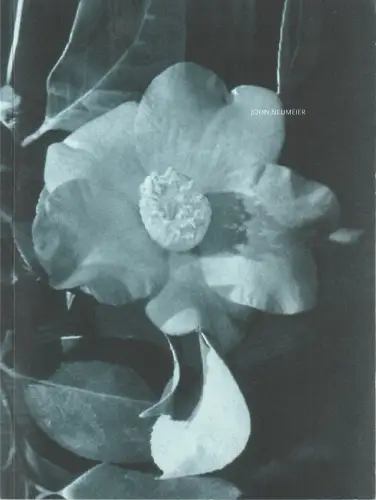 Bayerisches Staatsballett, Igor Zelensky, Wolfgang Oberender: Programmheft John Neumeier DIE KAMELIENDAME Spielzeit 2018 / 19. 