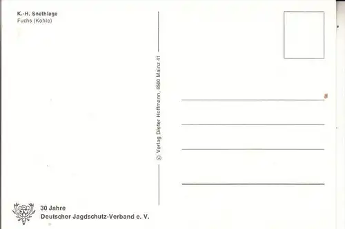 JAGD - HUNTING - JACHT - CHASSE - CACCIA - CAZA - LOWIECTWO - Künstler-Karte Fuchs, Deutscher Jagdschutz Verband