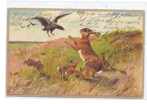 JAGD - HUNTING - JACHT - CHASSE - CACCIA - CAZA - LOWIECTWO, Hasen und Raubvögel, Künstler-Karte, 1908