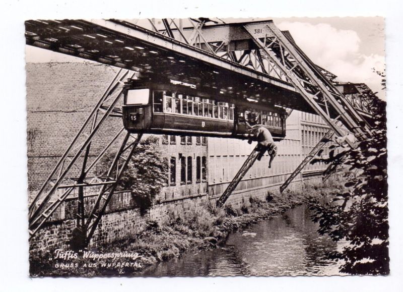 Wuppertal Schwebebahn Elefant Video Wuppertal Schwebebahn Elefant Video