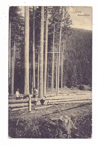 LANDWIRTSCHAFT / FORSTWIRTSCHAFT - Baumfällen, Harz, 1908, Trenkler