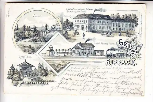 0-4854 LÜTZEN - RIPPACH, Lithographie, 1903, u.a. Bahnhof, Gasthof zum weissen Schwan