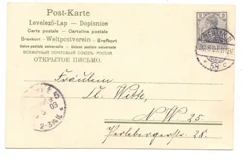 PFINGSTEN - Maikäfer krabbeln aus Zigarrenkiste, 1903