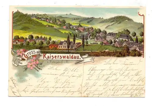 NIEDER-SCHLESIEN - KAISERSWALDAU / OKMIANY, Lithographie 1900, Gesamtansicht