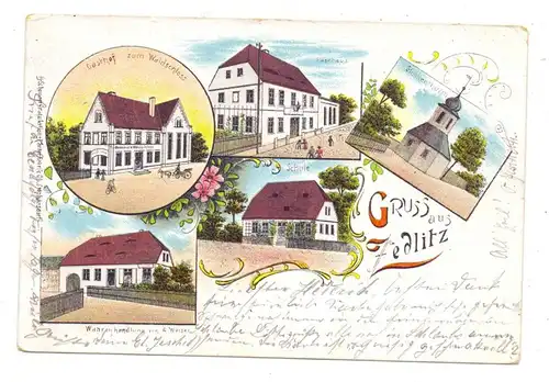 NIEDER-SCHLESIEN - ZEDLITZ / SIEDLEC, Lithographie 1899, Gasthof zum Waldschloss, Waarenhandlung Weiser, Waschhaus..