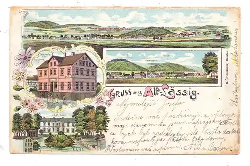 NIEDER-SCHLESIEN - ALT-LÄSSIG, Krs. Waldenburg, Lithographie, Warenhandlung Lowag, Schloss, Panorama..