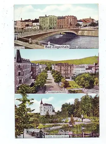 OBER-SCHLESIEN - BAD ZIEGENHALS / GLUCHOLAZY, Promenadenstrasse, Brücke, Villa Waldfrieden, 1911, Bahnpost, Eckknick