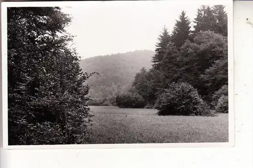 5064 RÖSRATH - HOFFNUNGSTHAL, Sülztal, 1949