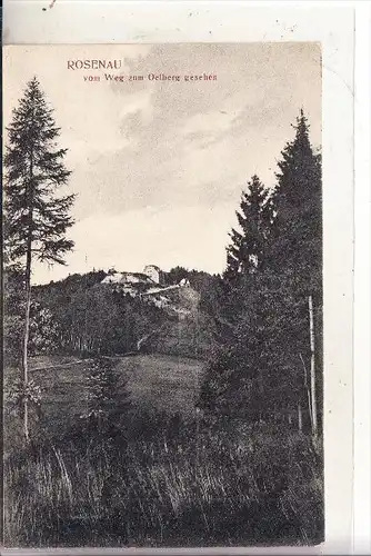 5330 KÖNIGSWINTER - ROSENAU, Hotel Rosenau, 1918