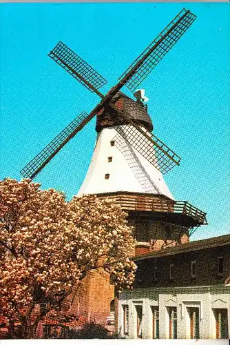 WINDMÜHLE / Mill / Molen / Moulin - KAPPELN