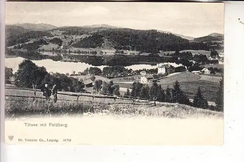 7820 TITISEE - NEUSTADT, Panorama mit Feldberg, ca. 1905, ungetilte Rückseite, Verlag: Trenkler