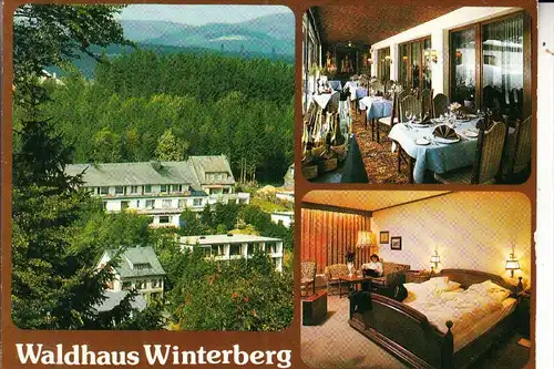 5788 WINTERBERG, Waldhaus Winterberg