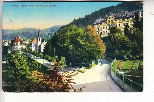 7740 TRIBERG, Partie am Schwarzwaldhotel, 1913