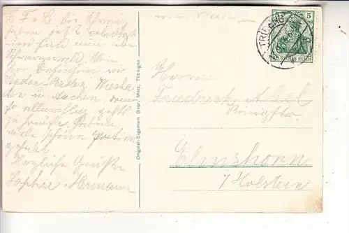 7740 TRIBERG, Partie am Schwarzwaldhotel, 1913