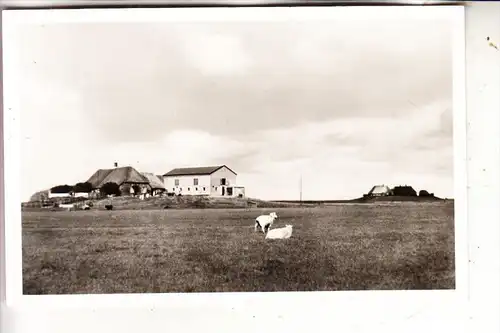 2251 HALLIG HOOGE, Jugendlager, Volkertswarft