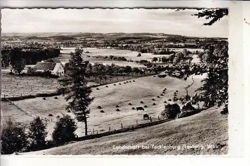 4542 TECKLENBURG, Landschaft bei Tecklenburg