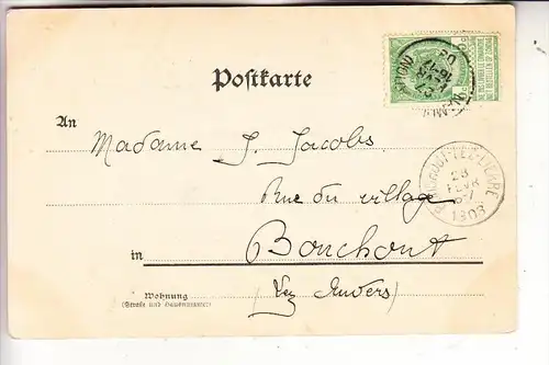 5000 KÖLN, FLORA, Partie aus der Flora, 1903