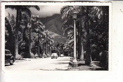 VENEZUELA - CARACAS, Avenida Contry Club, 1956, kl. Einriss