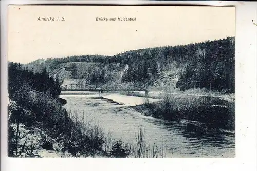 0-9294 PENIG - AMERIKA, Brücke & Muldenthal, 1907