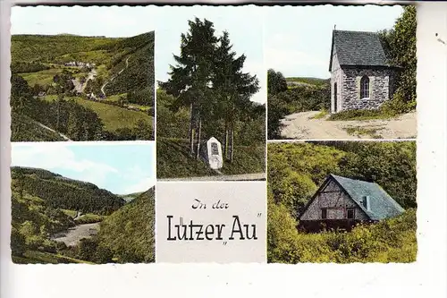 5590 COCHEM - LÜTZ, Lützer Au