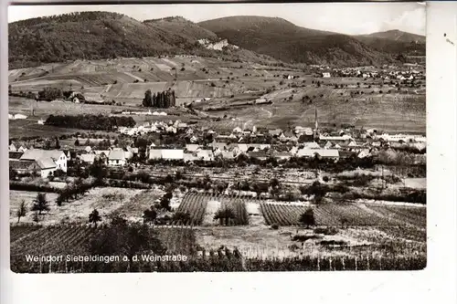 6740 LANDAU - SIEBELDINGEN, Ortsansicht