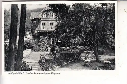 6223 LORCH, Waldgststätte  Kammerburg im Wispertal