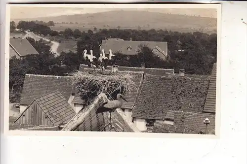 F 68230 TURCKHEIM / TÜRKHEIM, Photo-AK