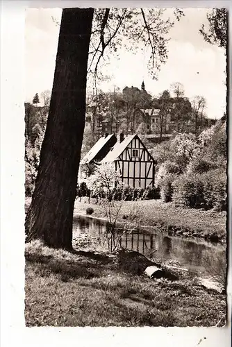 5900 SIEGEN, Partie an der Weiß, Sonderstempel "Westfälisches Landesturnfest 1960"