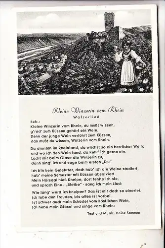 5330 KÖNIGSWINTER, Drachenfels, Walzerlied "Kleine Winzerin vom Rhein"