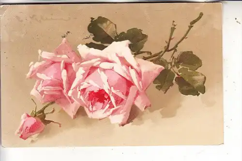 KÜNSTLER - KARTE - CATHARINA KLEIN, Rosen, Meissner & Buch # 1777, kl. Knick