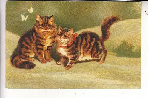 TIERE - KATZEN / Cats / Chats / Gatti / Gatos / Katten - Katzen und Schmetterlinge, Künstler-Karte 1917