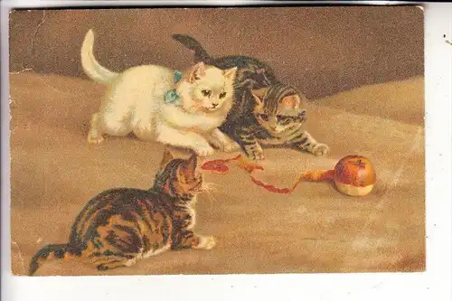 TIERE - KATZEN / Cats / Chats / Gatti / Gatos / Katten - Katzen und Apfel, Künstler-Karte 1918, Druckstelle