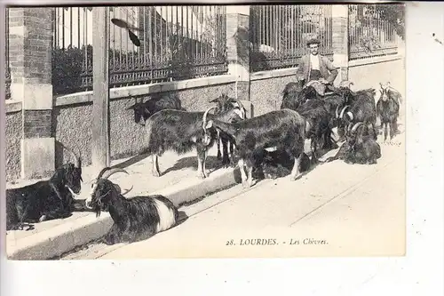 TIERE - ZIEGEN / Goats / Geiten / Chevre - Les Chevres Lourdes, 1913