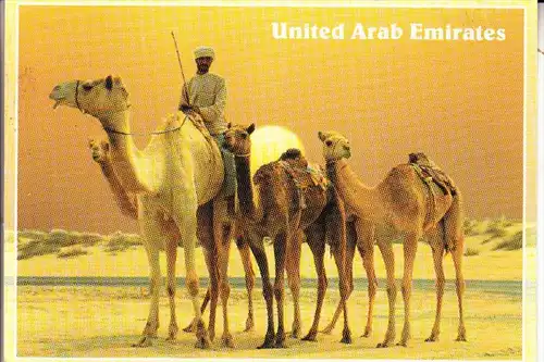 UNITED ARAB EMIRATES, Camels