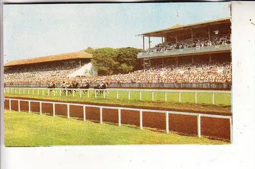 SPORT - PFERDE - Pferderennbahn Bombay, Turf
